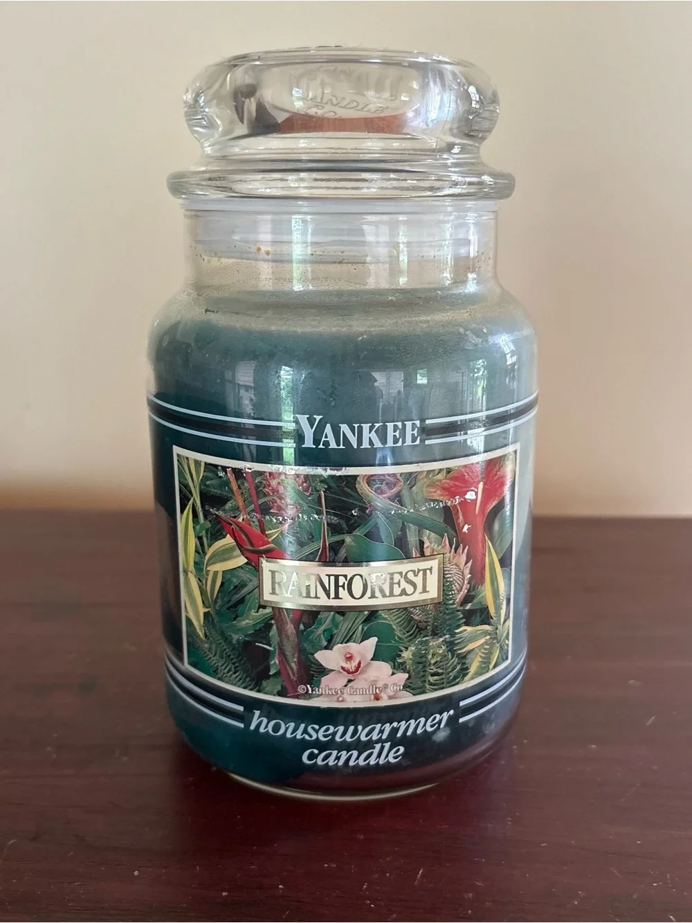 Yankee Candle 22oz Rainforest Black Band Unlit One Wick House Warmer Candle